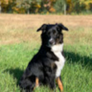 Meet your Posher, Eddy